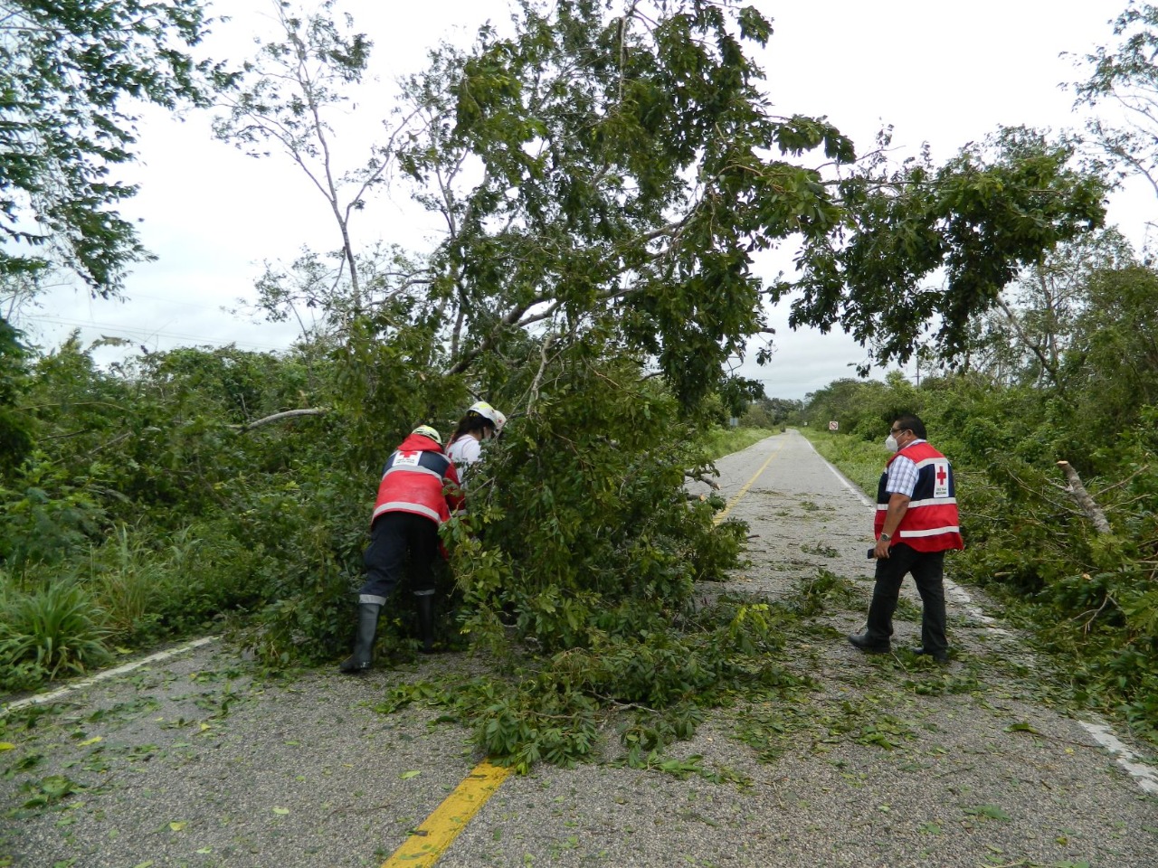  Municipios del oriente de Yucatán, los más afectados por 'Delta'